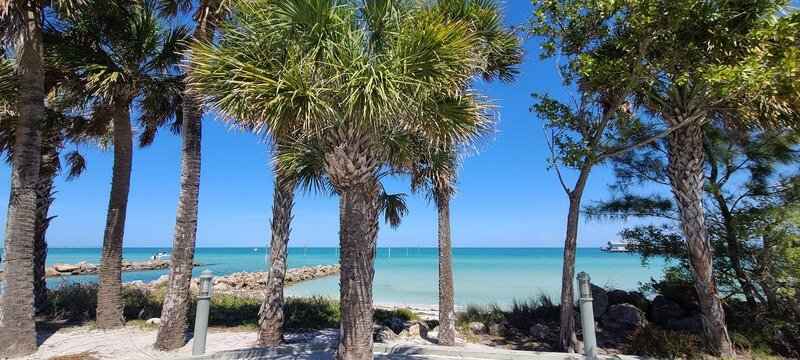 West Coast Surf Shop